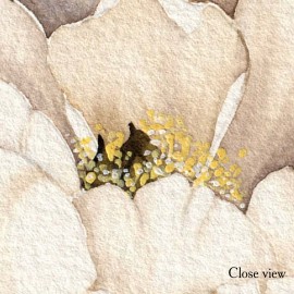 Watercolor Peony Wallpaper