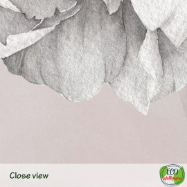 Peonies Wallpaper