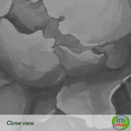 Dark Peony Flowers Wallpaper